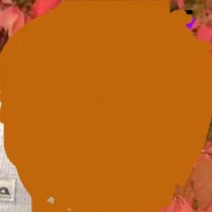 Meet your Posher, Josh